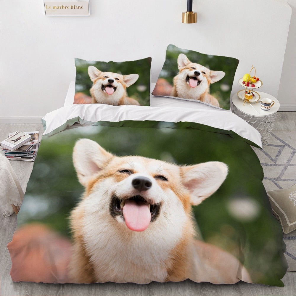 Welsh Corgi Paplanhuzat