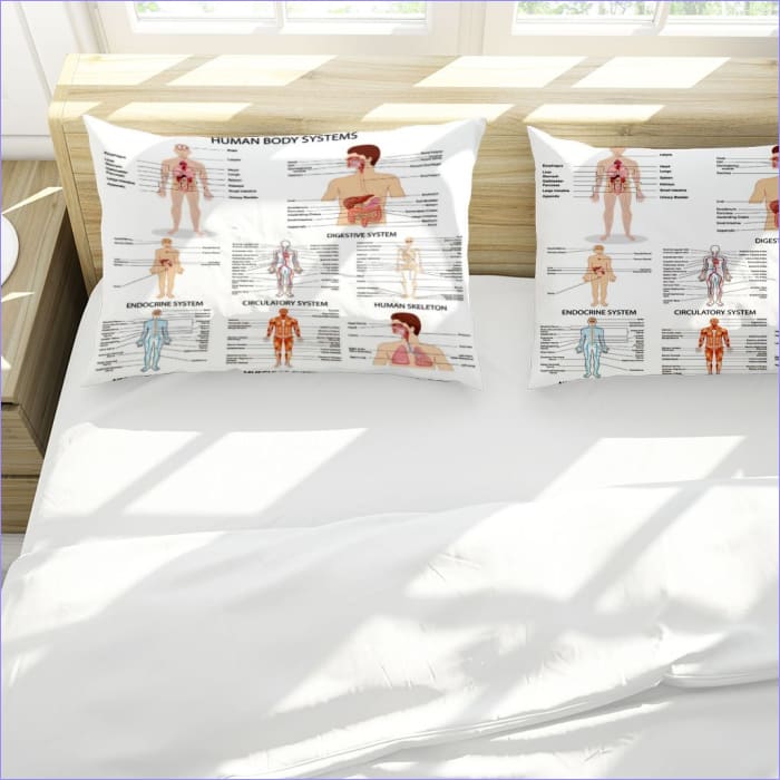 Eredeti Emberi Anatómia Dynebetræk